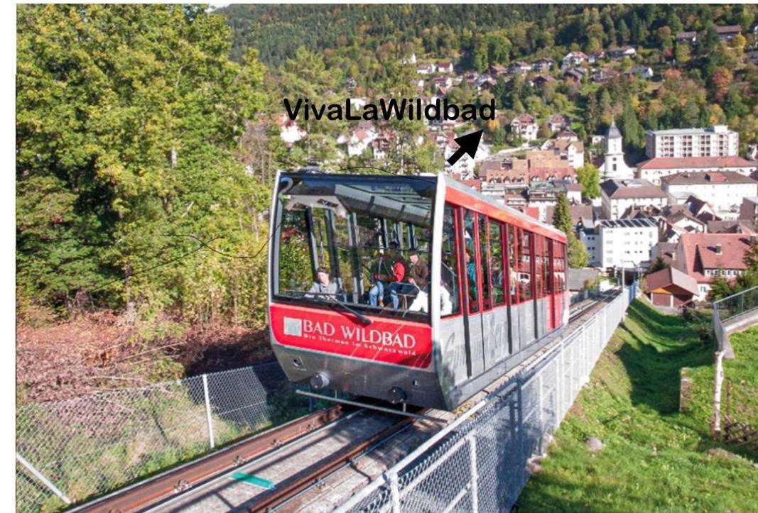 バート・ヴィルトバートViva La Wildbadアパートメント エクステリア 写真